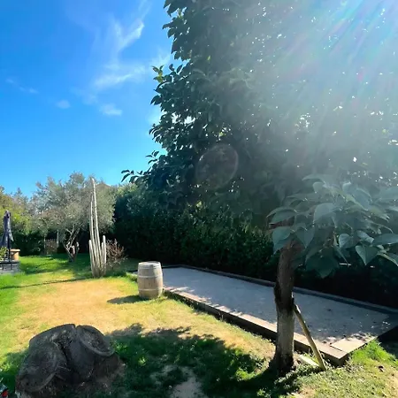 Le Nid Catalan Piscine Privee Jacuzzi Climatisation Villa *